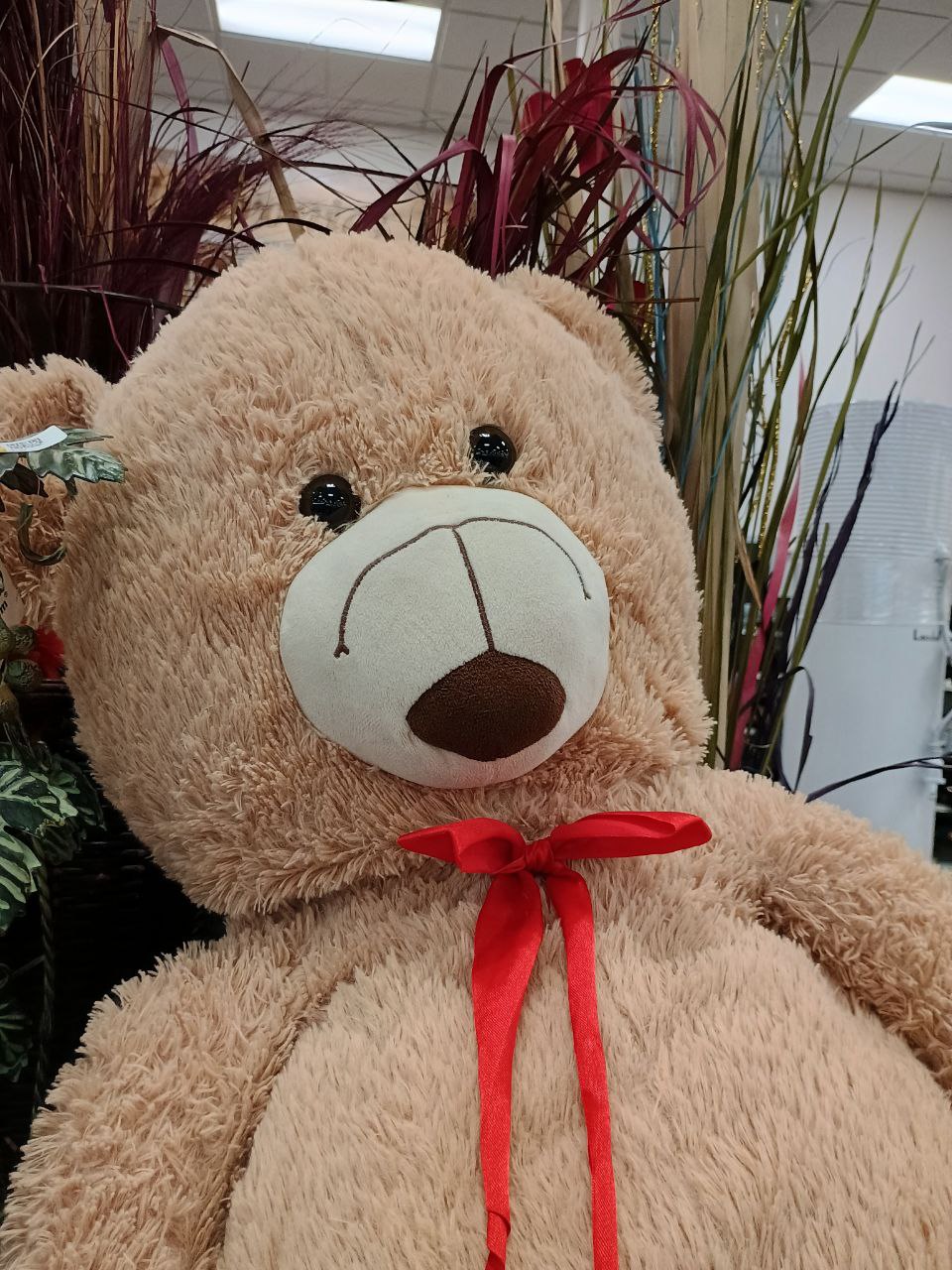 This teddy bear's nose/mouth are upside down