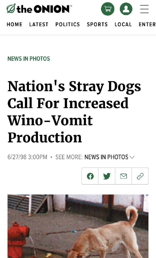 Nation&#39;s Stray Dogs Call For Increased Wino-Vomit Production