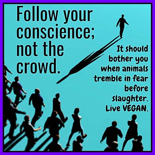 Individual walking away from group with caption on the left that says “ Follow your conscience; not the crowd.” and on the right “ It should bother you when animals tremble in fear before slaughter. Live VEGAN.”